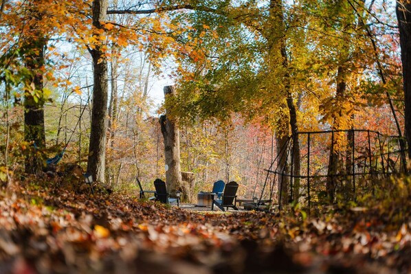 A forested area with a bench and chairs, surrounded by trees with autumn foliage.