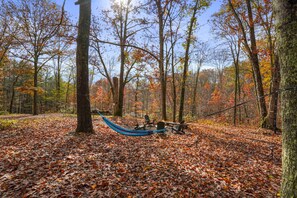 Una hamaca entre árboles en un bosque con cielo despejado.