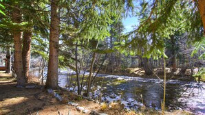 A forested area with a stream, trees, and rocks. - Ten Mile Townhouse in Downtown Frisco | Riverside! (Frisco)