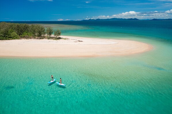 Ecotours - Misty Mountains Rainforest Retreat  (Bellenden Ker)