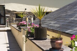 Property grounds - Royd Cottage at Lower Aylescott (West Down)