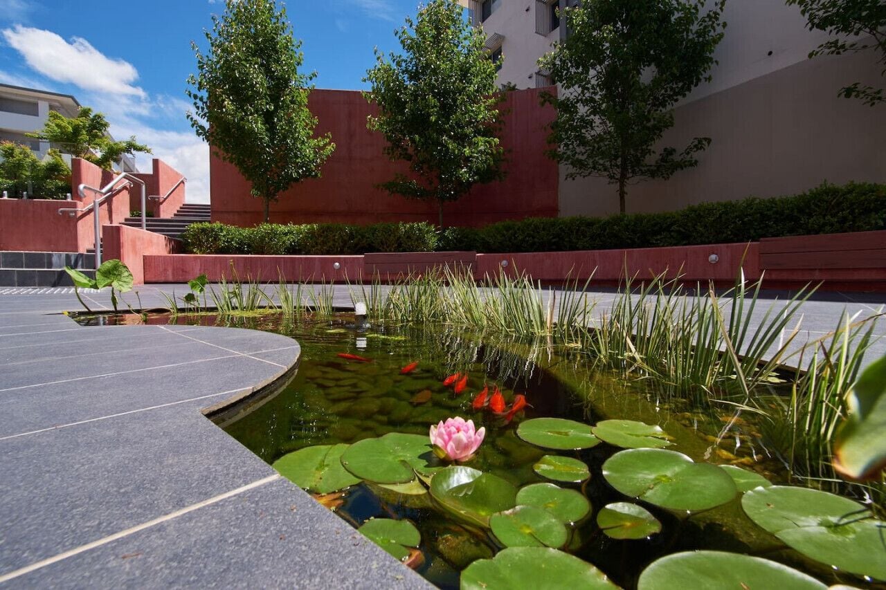 Área da propriedade