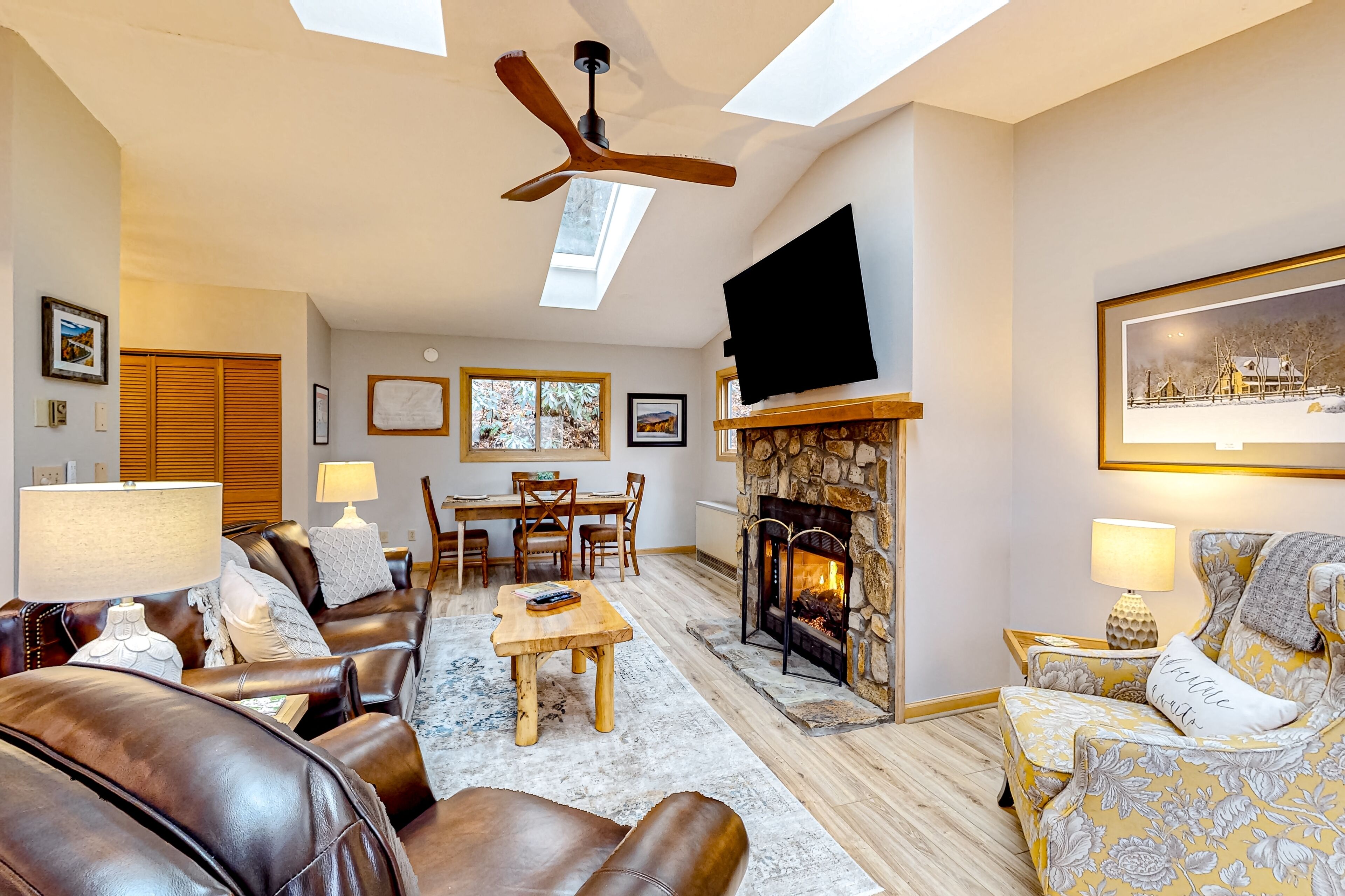 TV, fireplace
