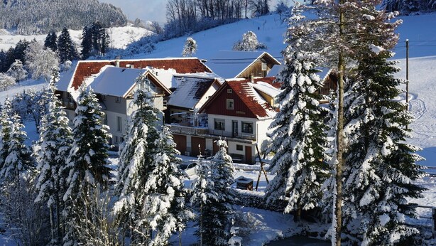 A snow-covered village with traditional houses and a mountain backdrop. - Apartment 'Ferienwohnung 2' with Mountain View, Shared Terrace and Wi-Fi (Haslach im Kinzigtal)