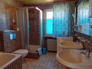 Shower, hair dryer, towels