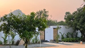 A modern building with a flat roof, surrounded by a well-maintained lawn and various plants. - Rocks and Greens (Padmanabham)