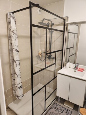 Hair dryer, towels, soap, toilet paper - Residence Collet (Annecy)