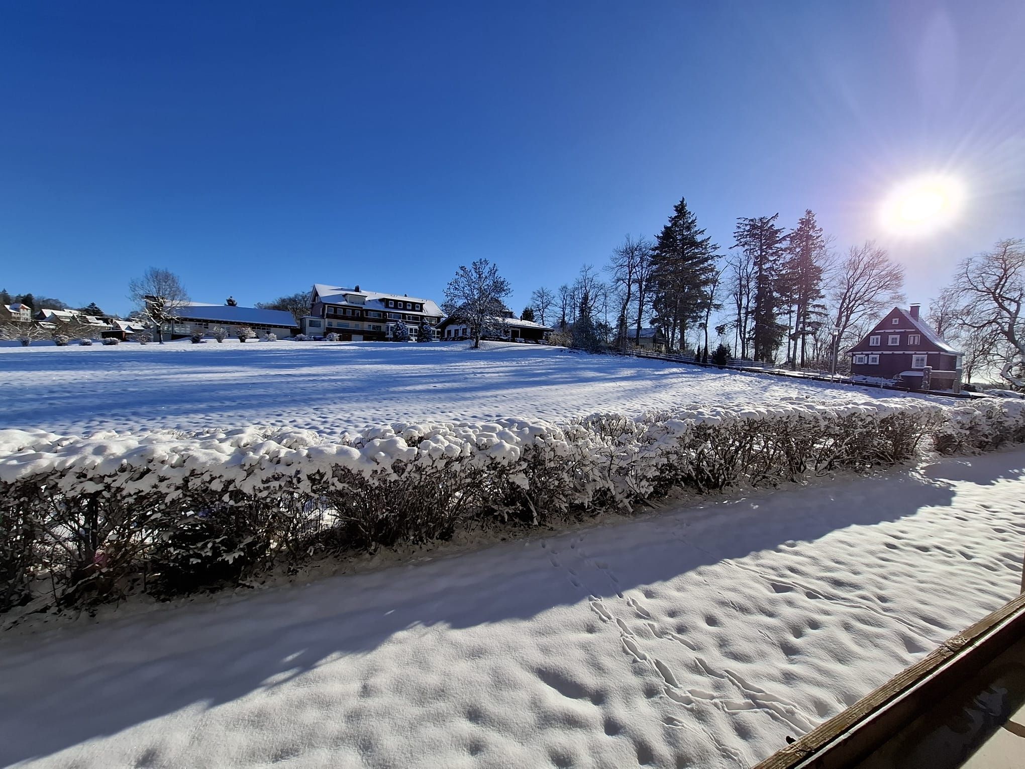 FEWO Harzer Wiesenblick in Hohegeiß, Sauna, bis 2 Hunde wil