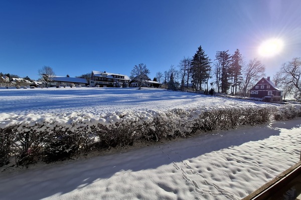 FEWO Harzer Wiesenblick in Hohegeiß, Sauna, bis 2 Hunde wil