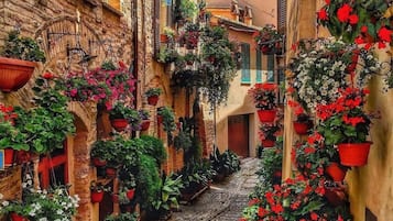 Overnatningsstedets område