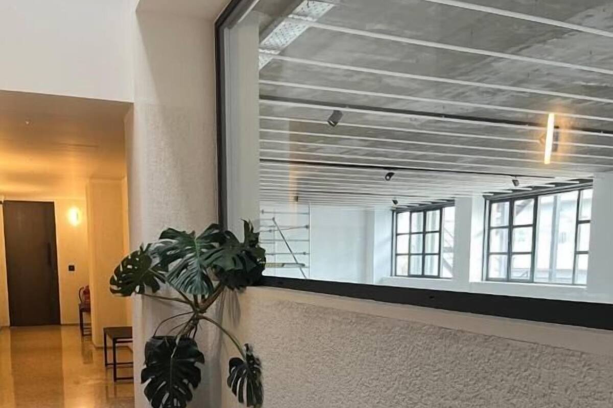 A modern interior with a large window, a plant, and a bench.