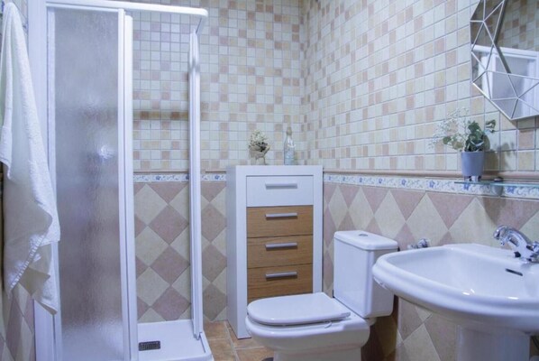 Bathroom features a shower enclosure, toilet, sink, and decorative mirror.