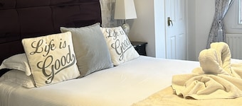 The swan inn