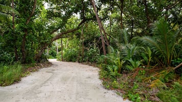 Jardín