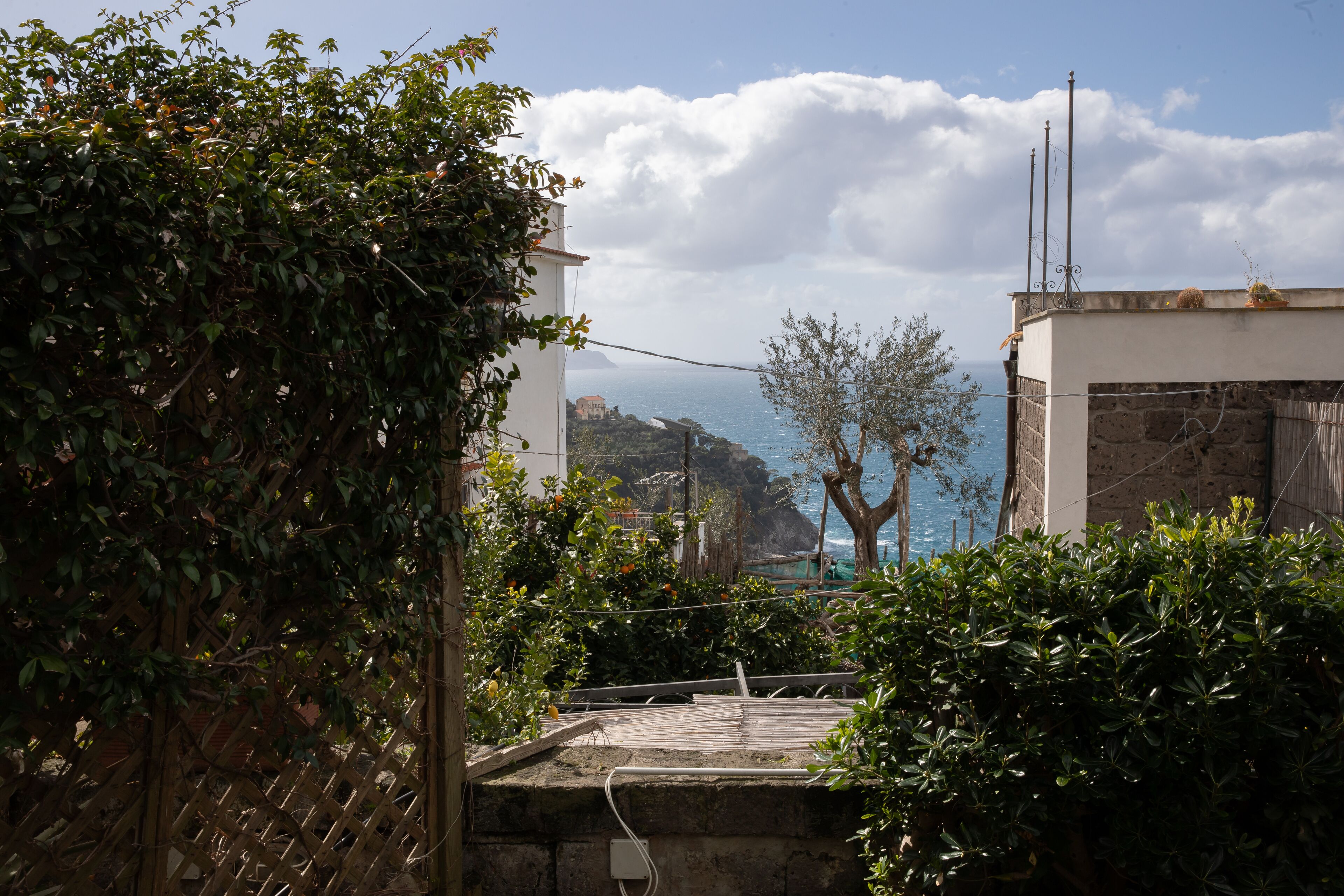 A rooftop terrace with a view of the sea, surrounded by greenery and a stone wall.