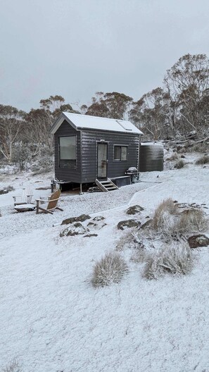 Exterior - Tiny Elsie - Snowy Mountains (Hill Top)