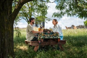 Outdoor dining - Tiny Charlotte - Southern Tablelands (Dalton)