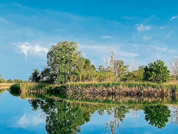 Une étendue d'eau calme où se reflètent les arbres et le ciel.