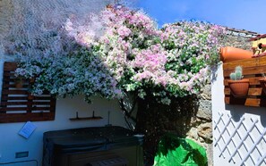 Property grounds - House in granite stone with a century old in center Portugal. Open Space. (Tinalhas)