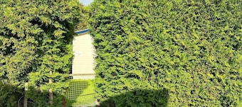 Chalet with three bedrooms with great views over the meadow