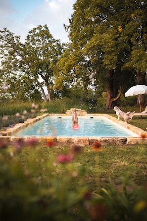 A swimming pool surrounded by stone tiles, with a dog nearby and a white umbrella in the background. - Maison Lou Piade (Sarlat-la-Canéda)