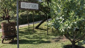 Parco della struttura