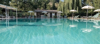 LARGE 6+4  , C2 MONTALCINO
