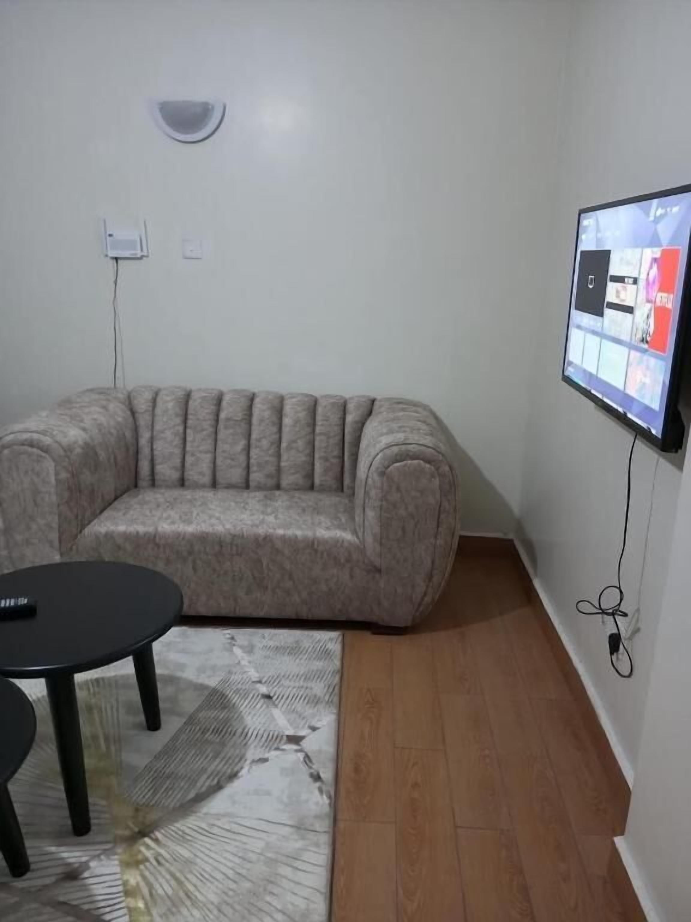 Deluxe Apartment | Living area | 24-inch Smart TV with digital channels