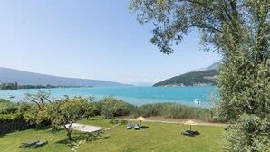 Uma área gramada com vista para um lago e barcos, uma árvore e um banco.