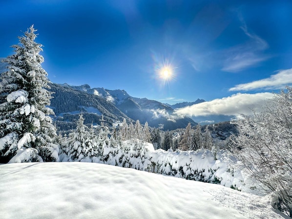Escape to a serene winter wonderland surrounded by snow-covered trees and majestic mountains.