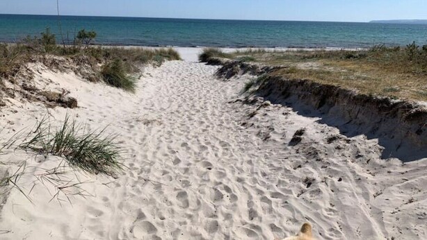 A sandy beach path leading to the ocean with sparse vegetation on either side. - Villa Am Gutshof (Trent)