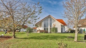 A modern house with a red roof, large windows, and a well-maintained lawn. - Villa Am Gutshof (Trent)