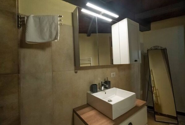 Shower, hair dryer, bidet, towels