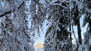 Image sans description, 4 de 13, bouton