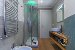 Shower, hair dryer, bidet, towels