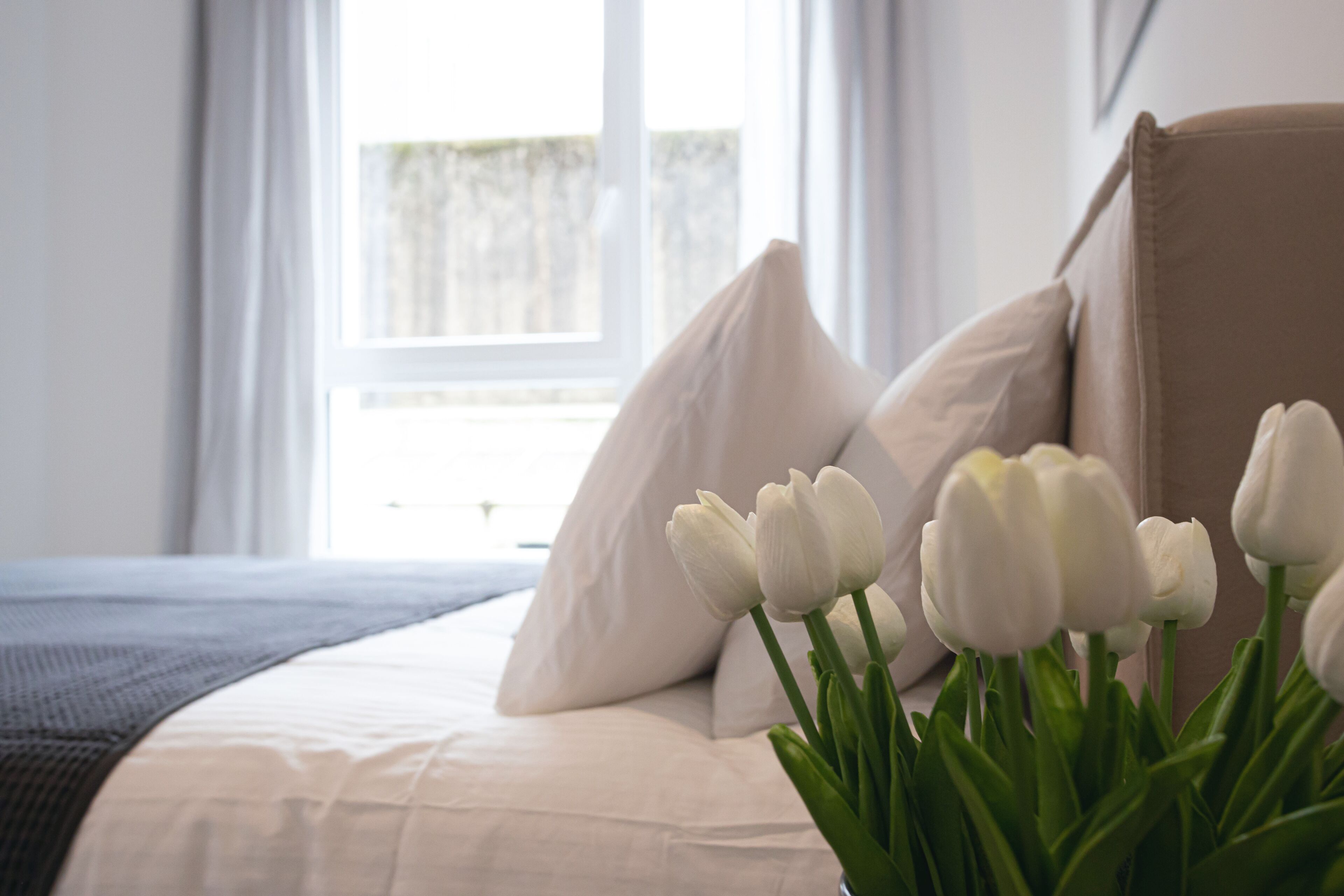 Apartament prèmium, 1 dormitori, no fumadors, vistes a la ciutat | 1 dormitori, espai de treball apte per a portàtils i wifi gratuïta 