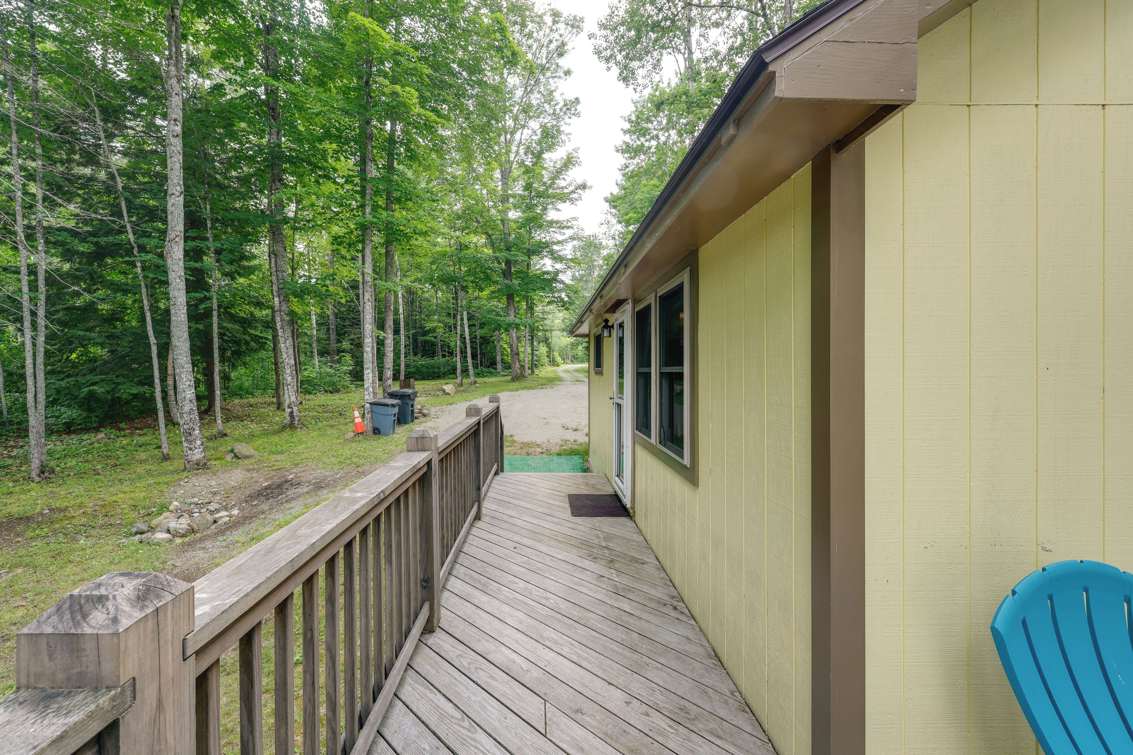 A wooden deck leading to a building with a window, surrounded by trees.