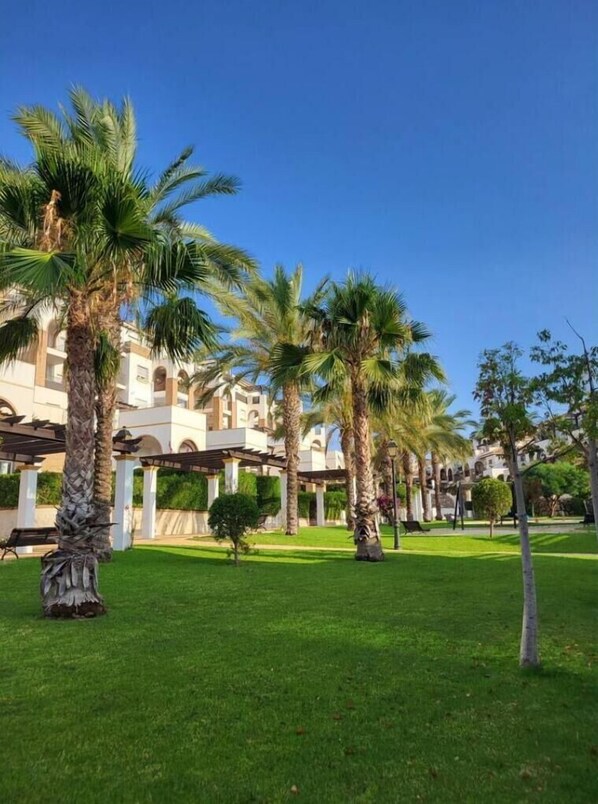 Unclassified image, 1 of 39, button - Ferienwohnung in Vera, Almeria (Vera)