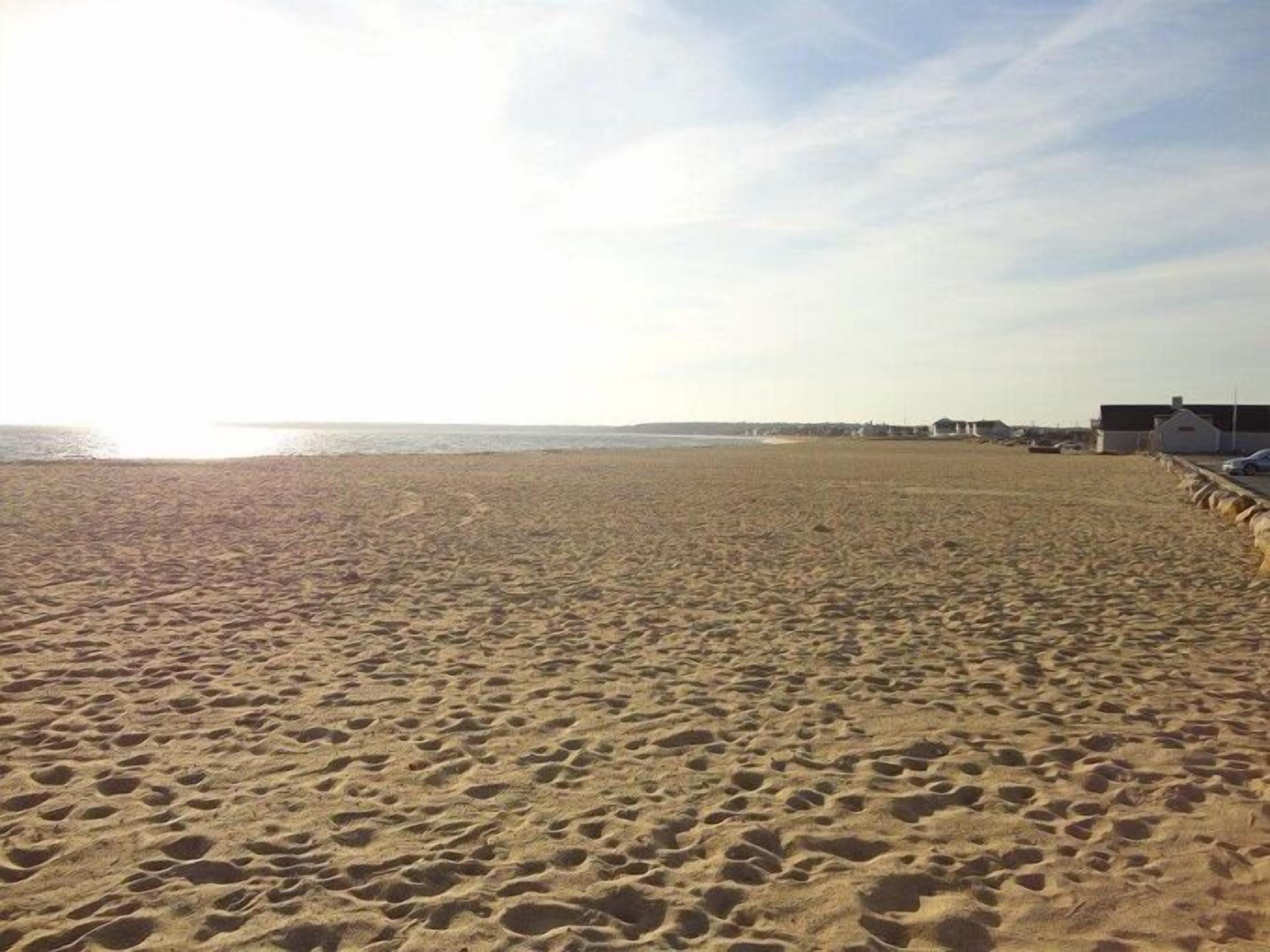 Updated Home Convenient to Beaches, Shopping, and Dining (2350)