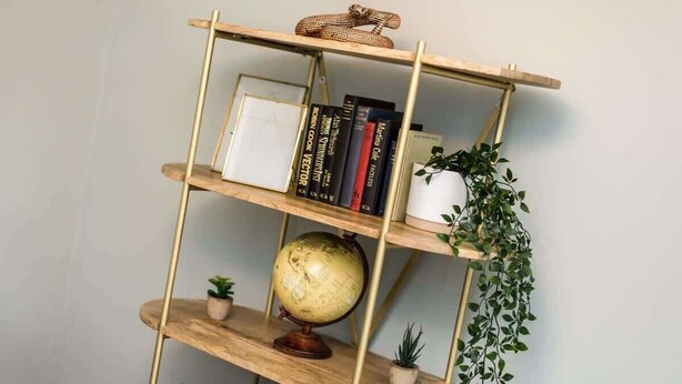 A wooden bookshelf with three shelves, each holding books, a globe, and small plants.