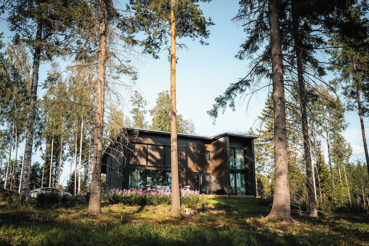 A modern house surrounded by tall trees.
