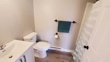 Hair dryer, towels, soap, toilet paper
