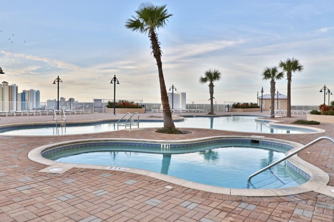 A swimming pool area with multiple pools, palm trees, and a city skyline in the background.