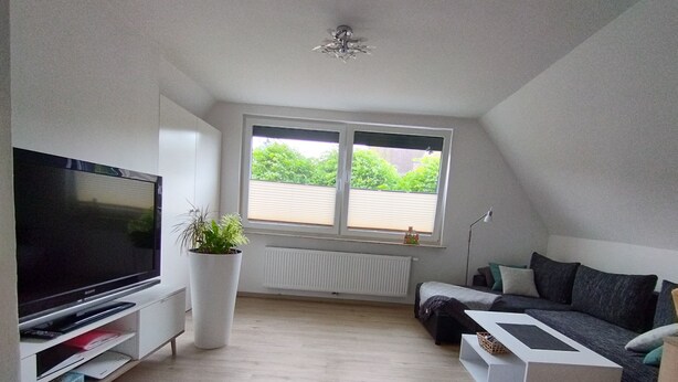 Una sala de estar moderna con un televisor de pantalla plana, una planta en maceta, un sofá y una ventana con vistas a la vegetación.