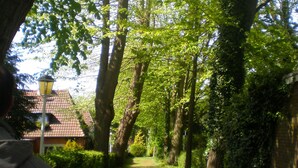 Un sendero bordeado de árboles, con una farola y un edificio al fondo.