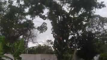 住宿正面