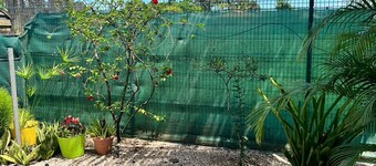 Maison des Coulicous - 1 à 2 Chambres Tout Confort