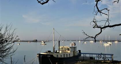 Secluded Retreat - in the heart of the Anchorage