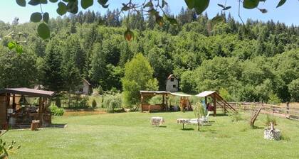 Holiday Home Mali Raj