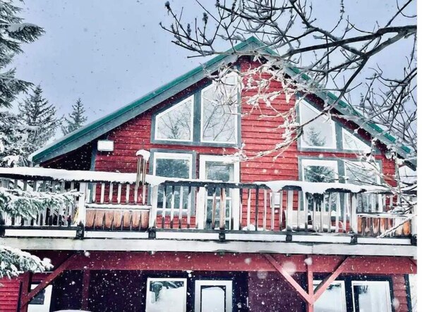 Ulkopuoli